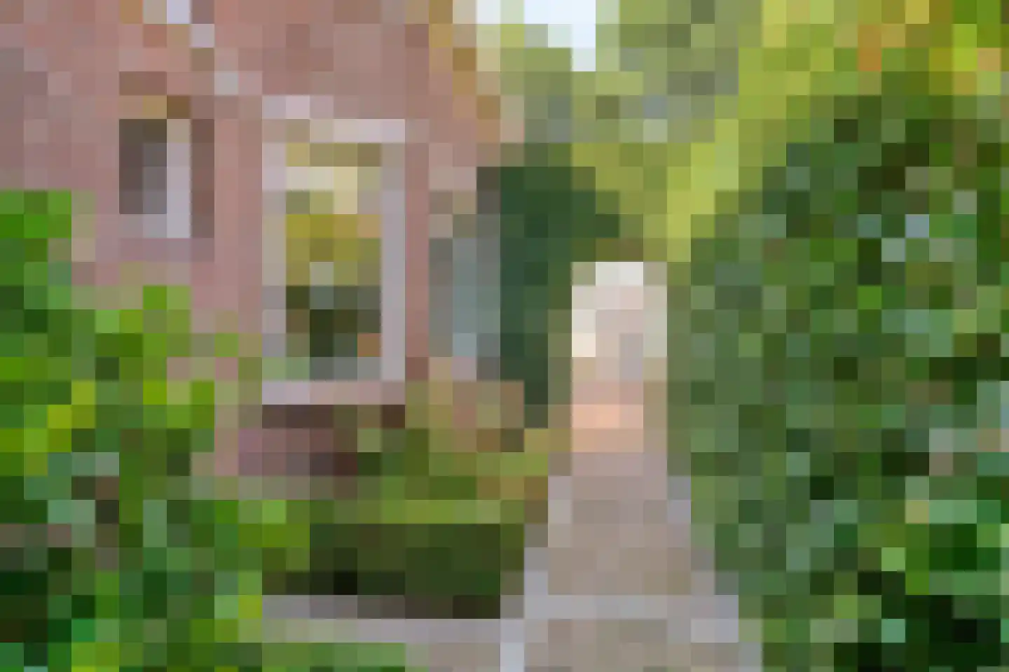 Kapelweg 44 a Maarn thumbnail 45