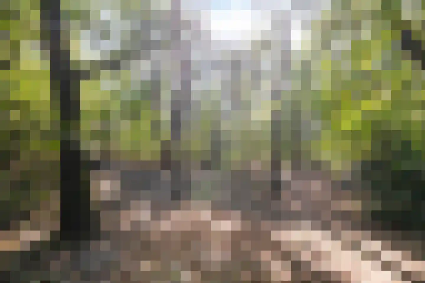 Kapelweg 44 a Maarn thumbnail 48