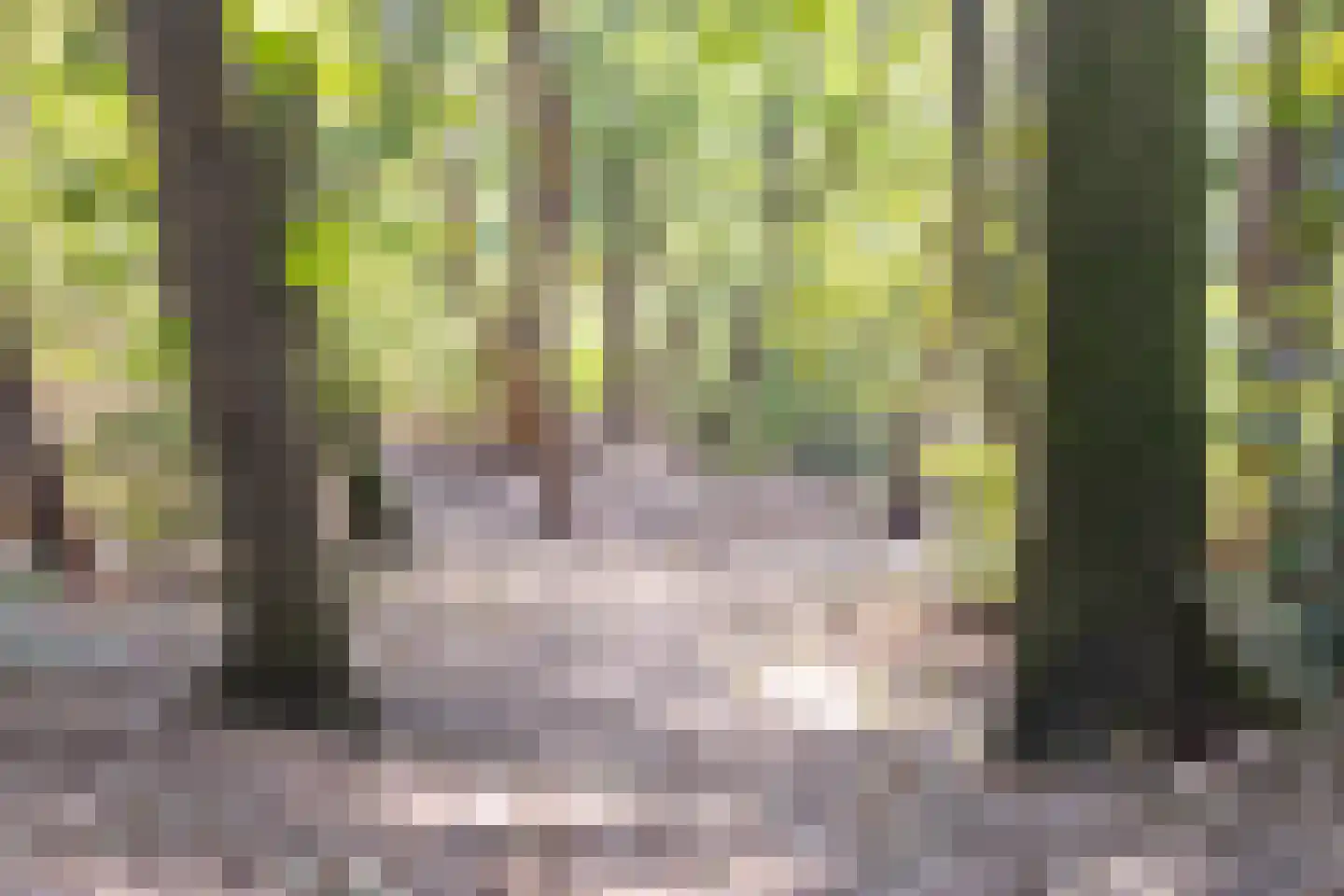 Kapelweg 44 a Maarn thumbnail 49