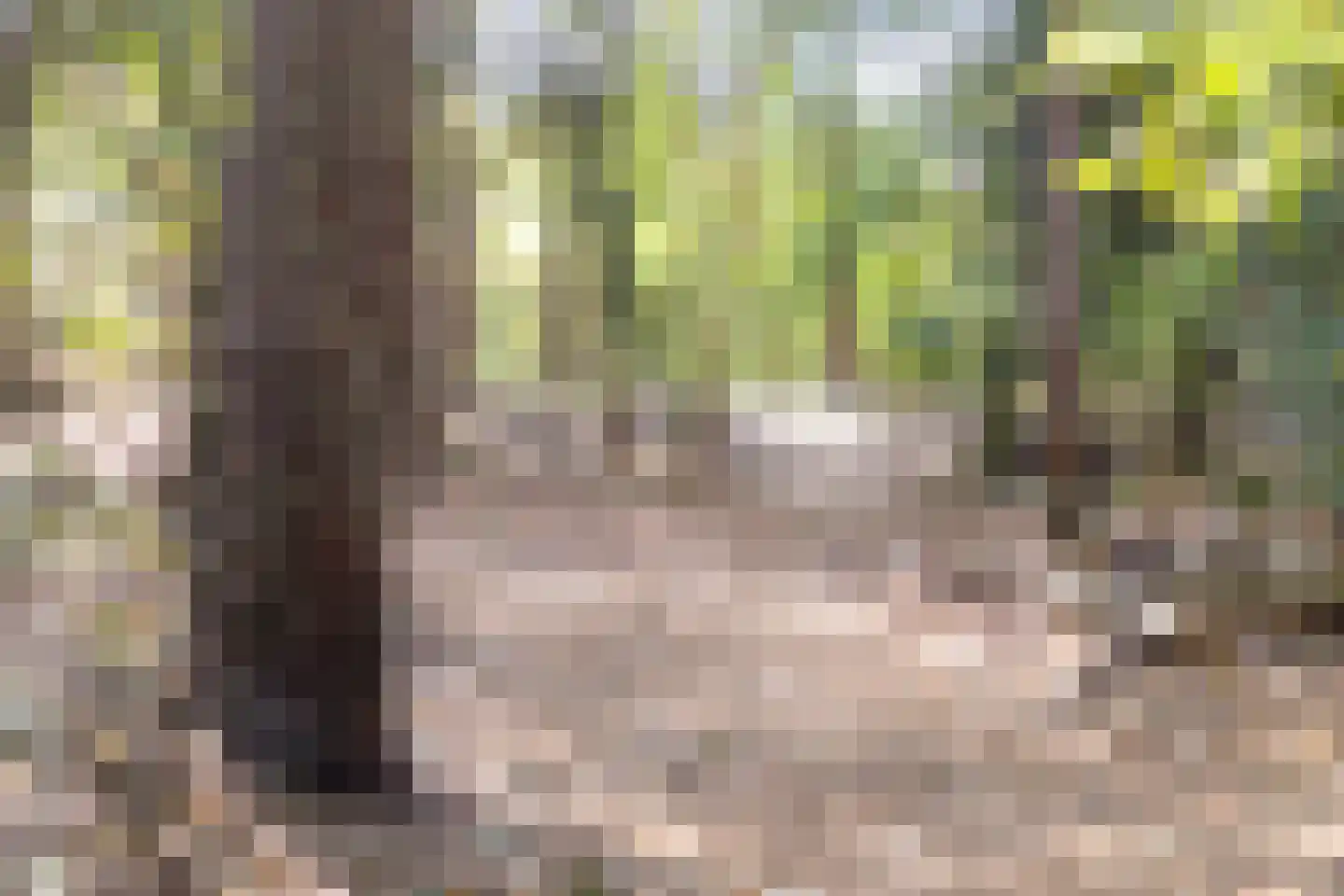 Kapelweg 44 a Maarn thumbnail 50