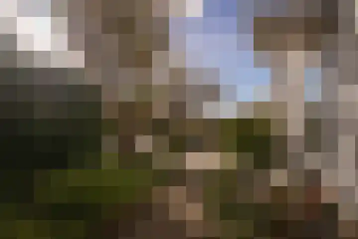 Kapelweg 44 Cadier en Keer thumbnail 24