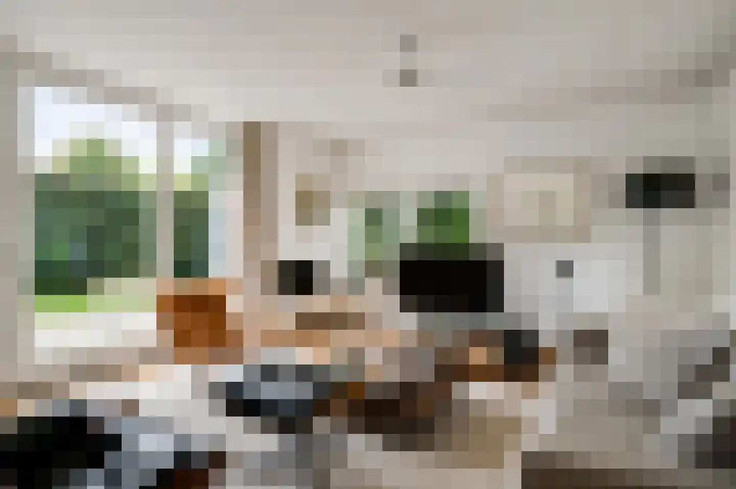 Kapelweg 47 Cadier en Keer thumbnail 12