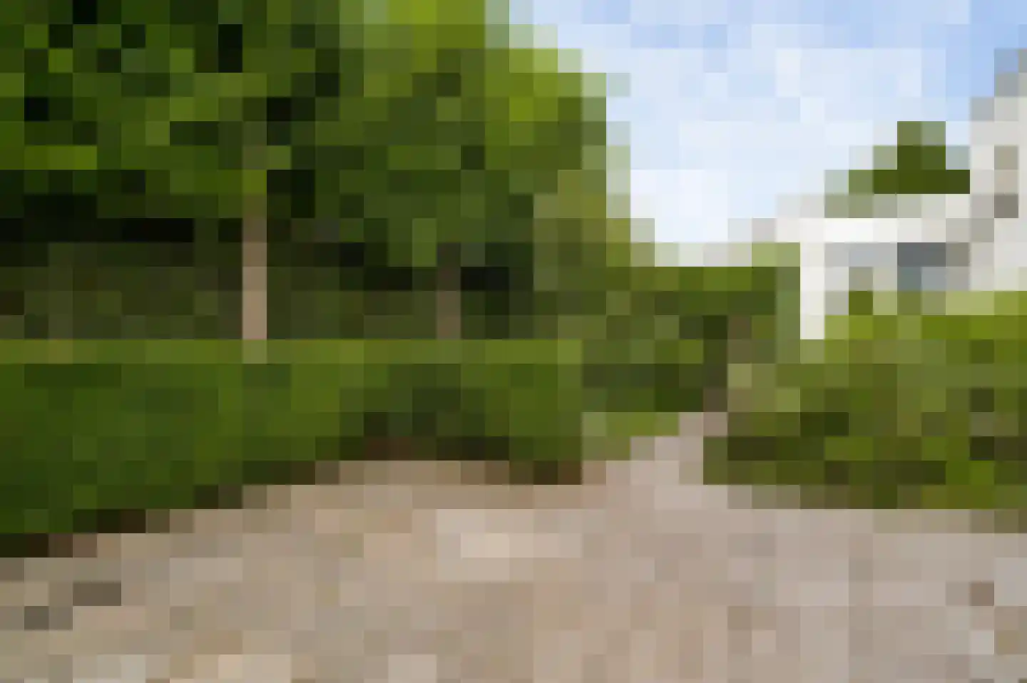 Kapelweg 47 Cadier en Keer thumbnail 27