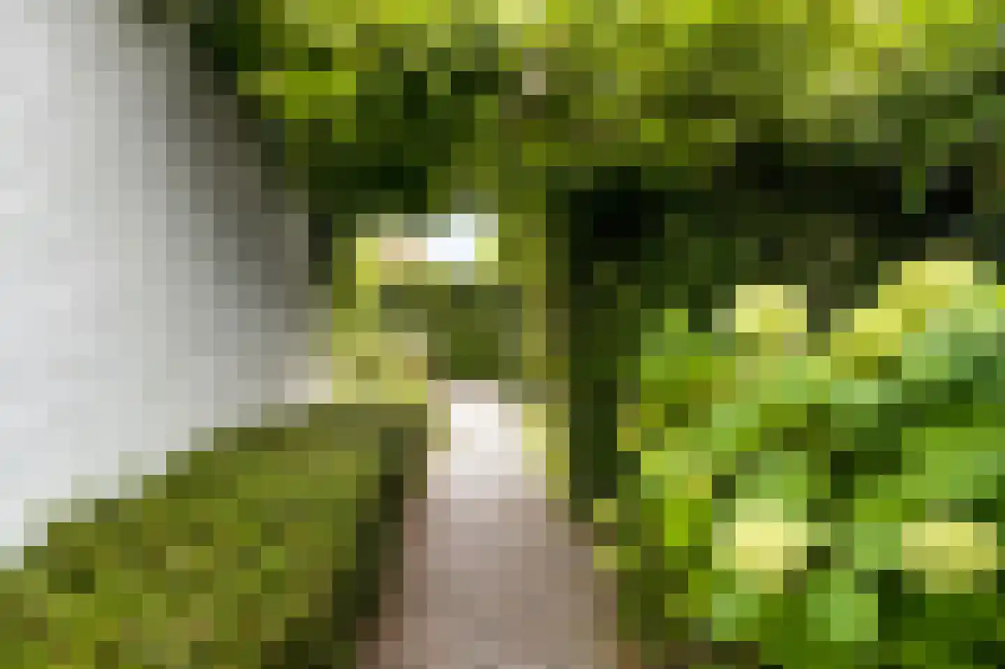 Kapelweg 47 Cadier en Keer thumbnail 31