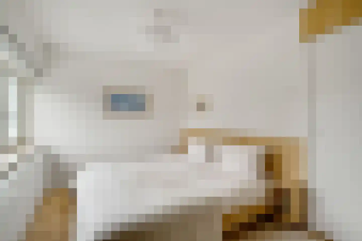 Kapelweg 47 Cadier en Keer thumbnail 35