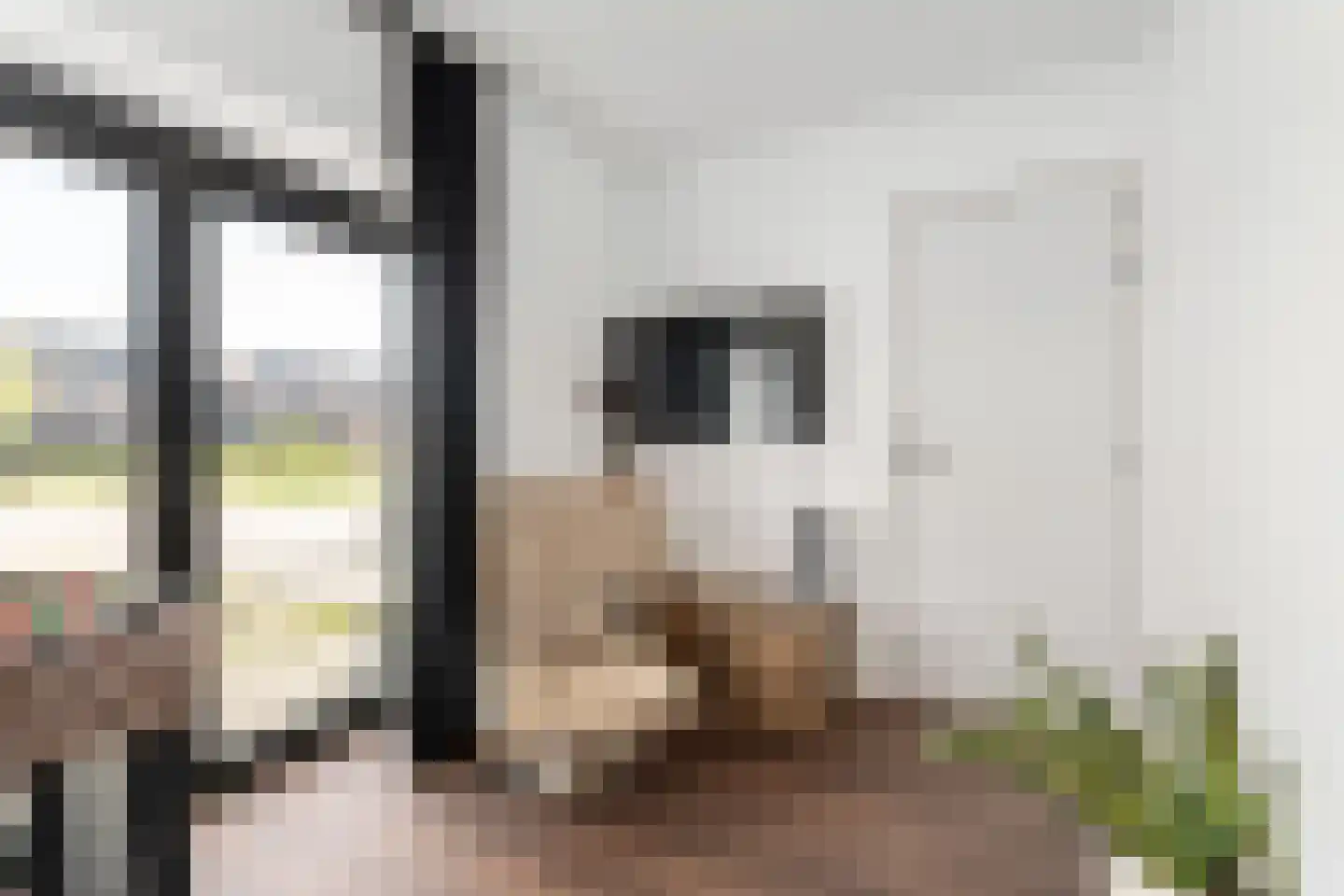 Kapelweg 48 Bergeijk thumbnail 11