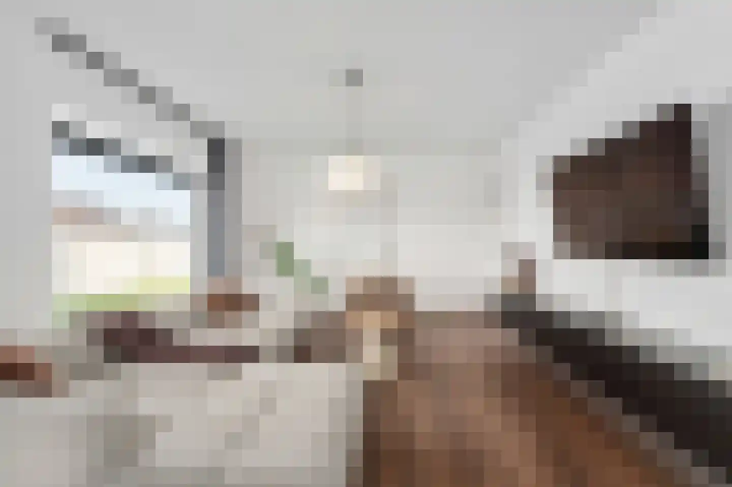 Kapelweg 48 Bergeijk thumbnail 5