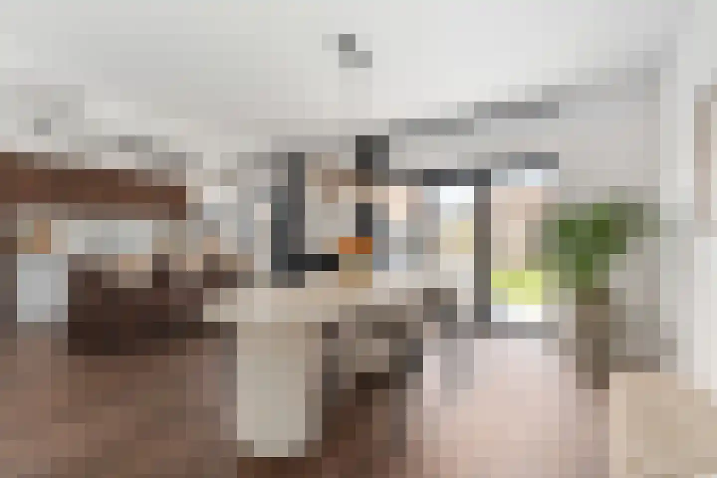 Kapelweg 48 Bergeijk thumbnail 6