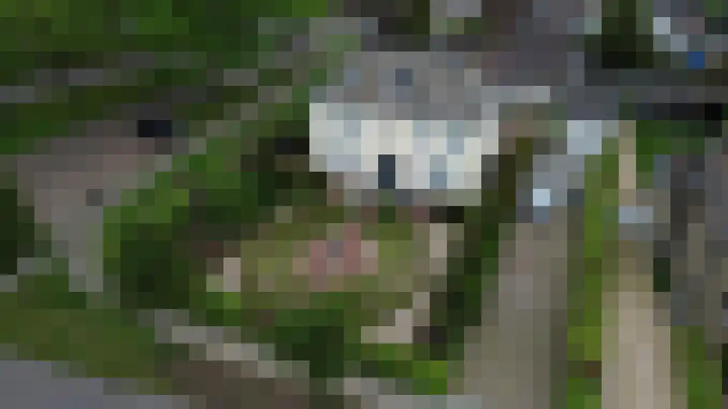 Kapelweg 48 Born thumbnail 47