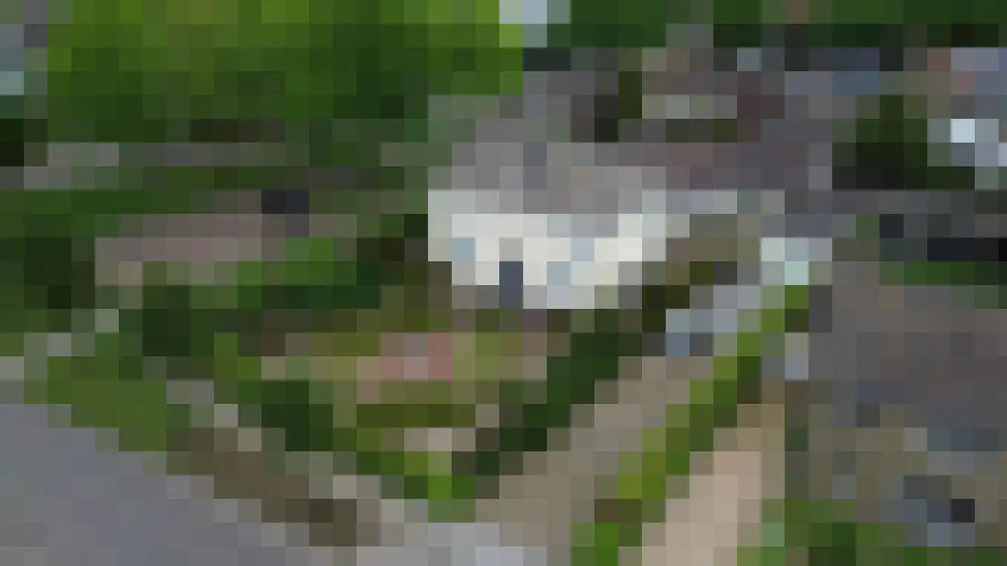 Kapelweg 48 Born thumbnail 48