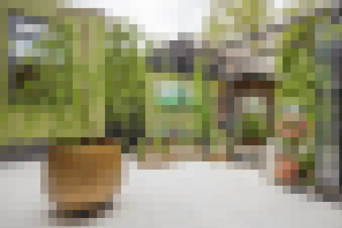 Kapelweg 48 Maarn thumbnail 34