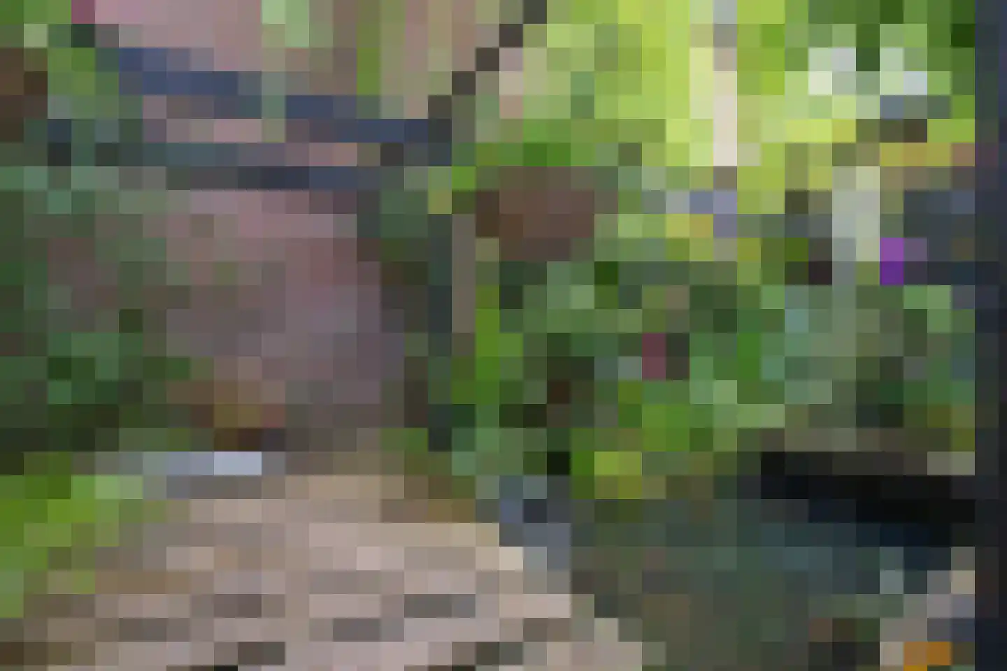 Kapelweg 48 Maarn thumbnail 36