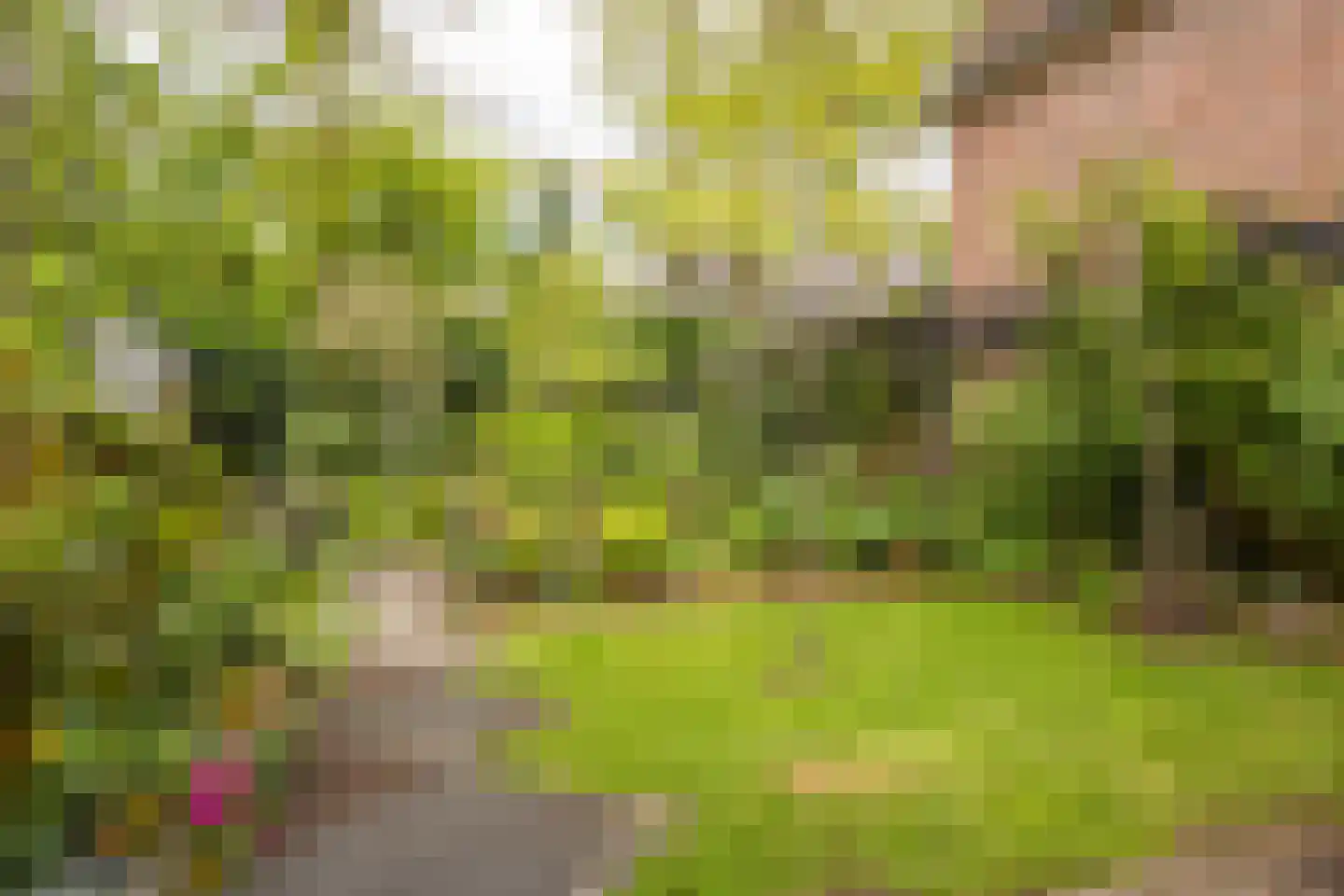 Kapelweg 48 Maarn thumbnail 38