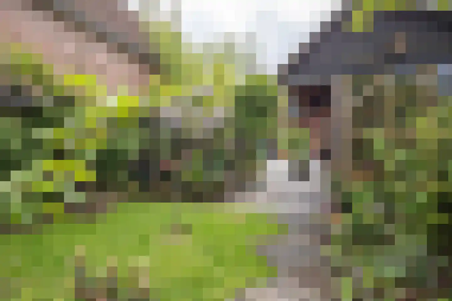 Kapelweg 48 Maarn thumbnail 39