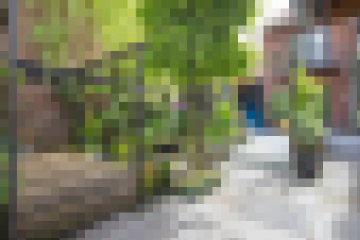 Kapelweg 48 Maarn thumbnail 4