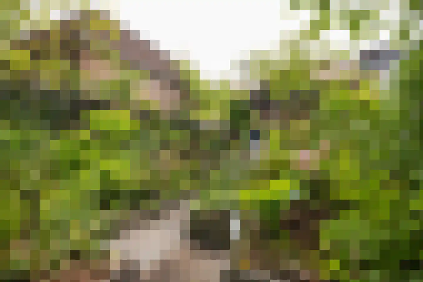 Kapelweg 48 Maarn thumbnail 41