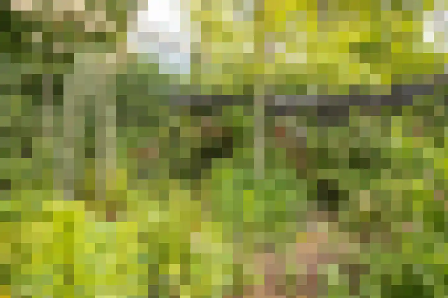 Kapelweg 48 Maarn thumbnail 42