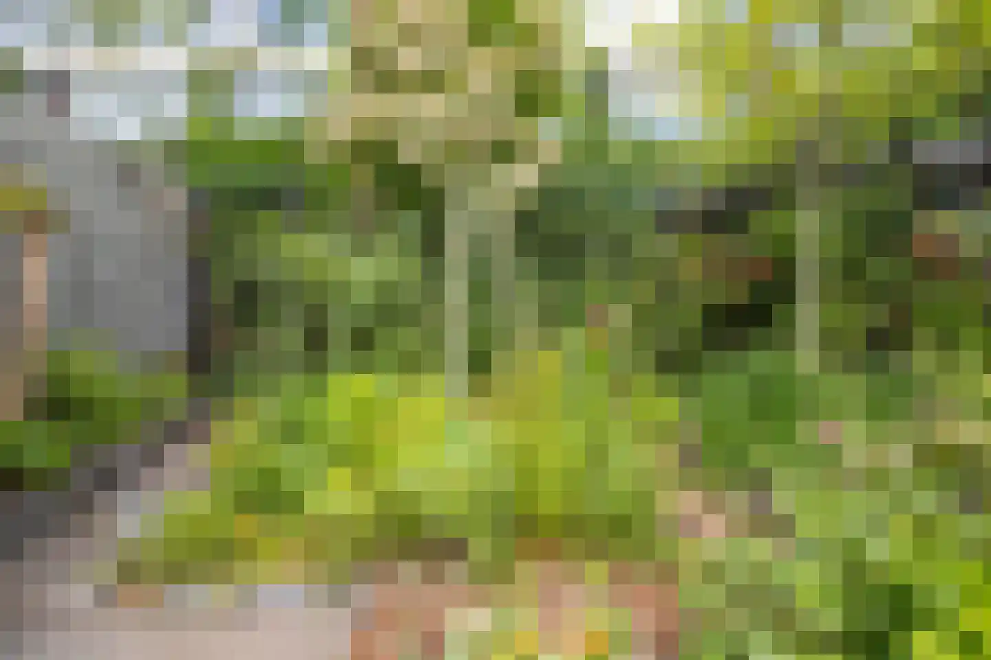 Kapelweg 48 Maarn thumbnail 43