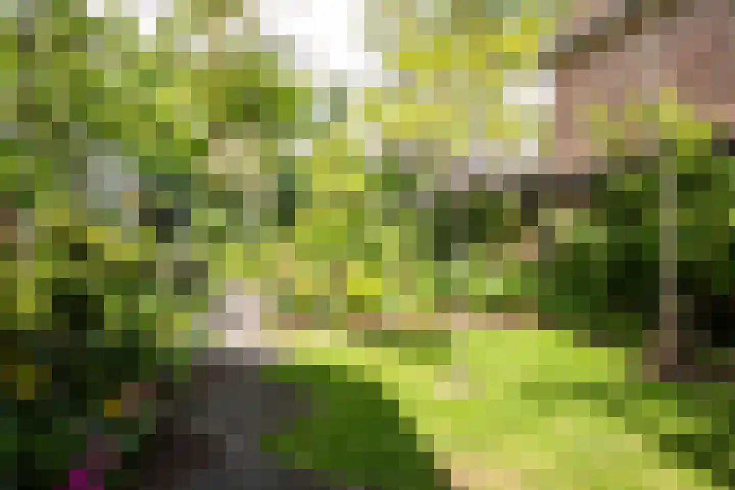 Kapelweg 48 Maarn thumbnail 44