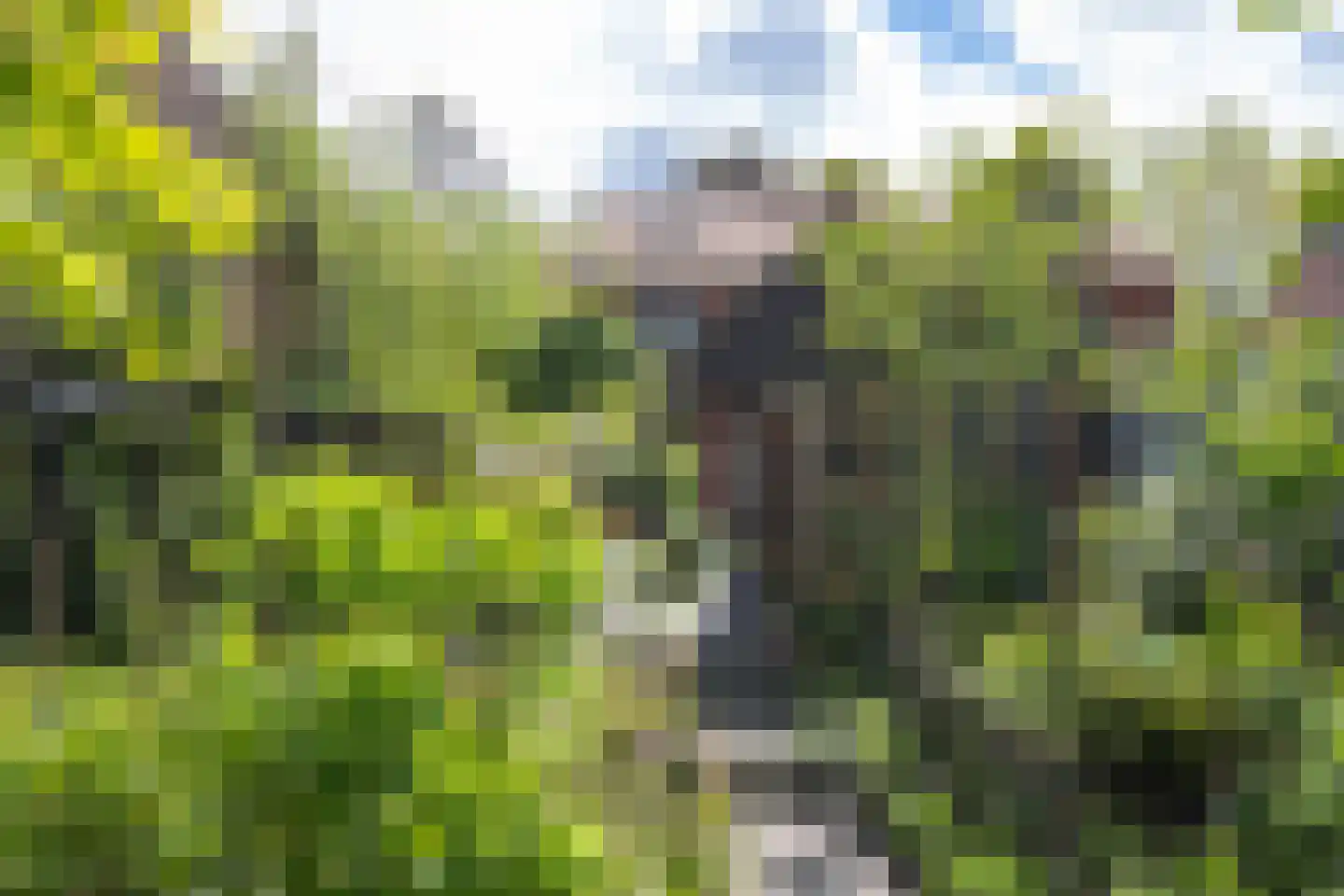 Kapelweg 48 Maarn thumbnail 45