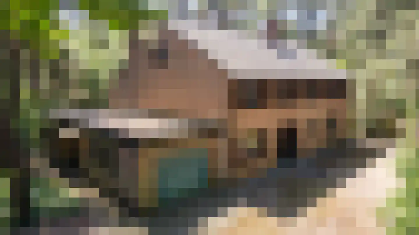 Kapelweg 5 Bergeijk thumbnail 11
