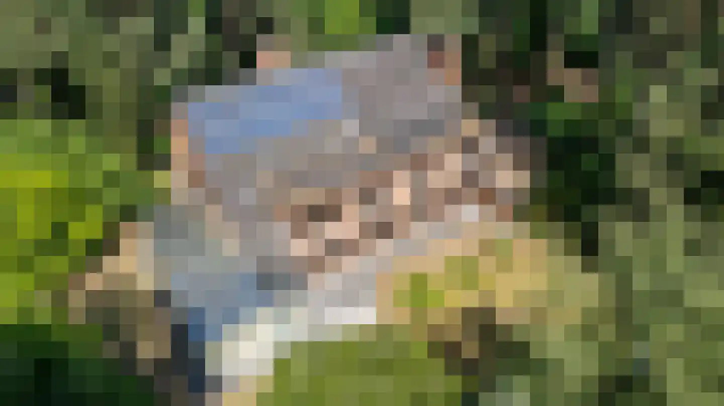 Kapelweg 5 Bergeijk thumbnail 13