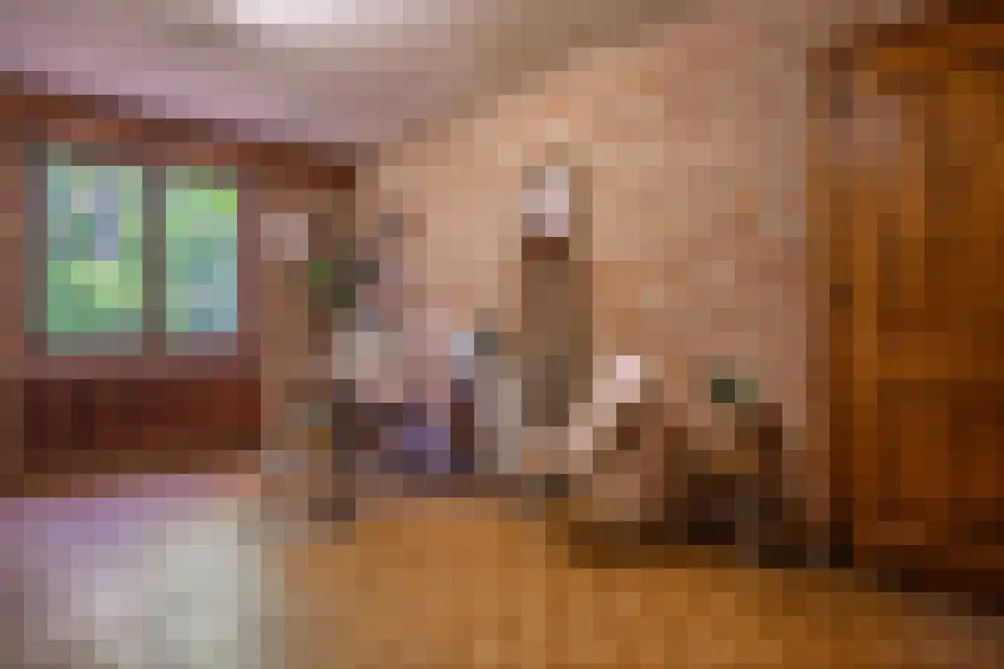 Kapelweg 5 Bergeijk thumbnail 19