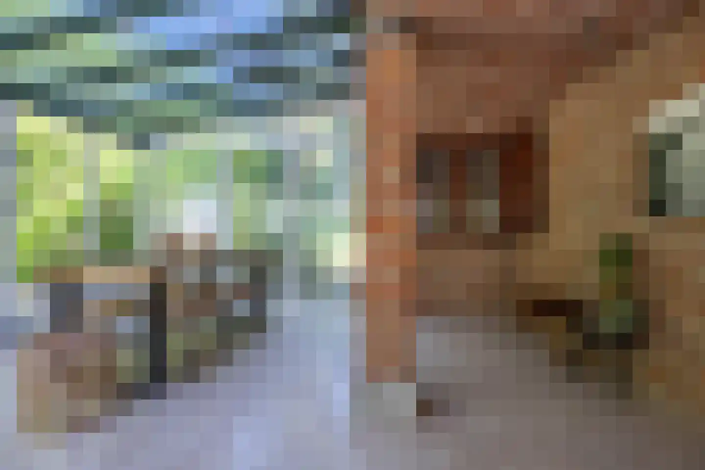 Kapelweg 5 Bergeijk thumbnail 37