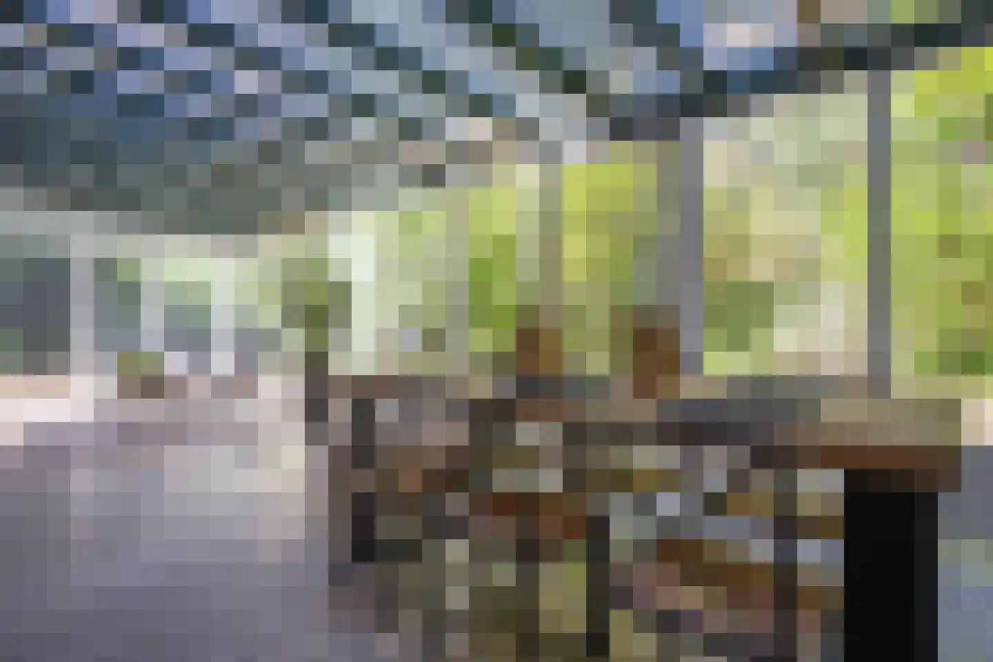 Kapelweg 5 Bergeijk thumbnail 39