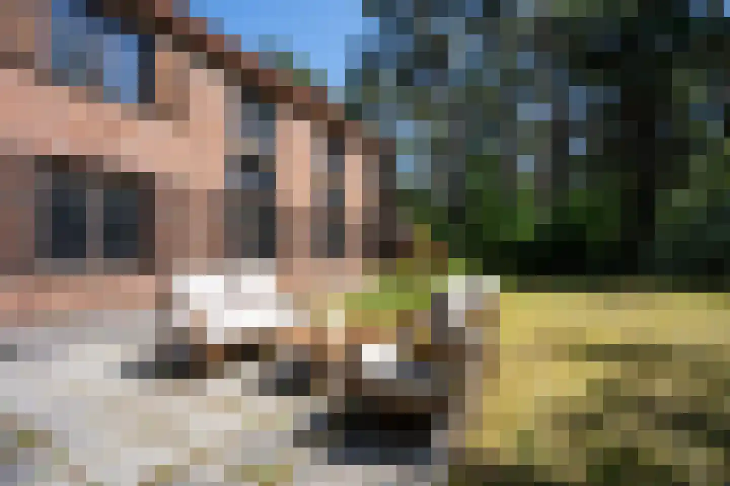 Kapelweg 5 Bergeijk thumbnail 42