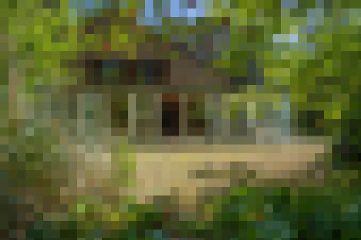 Kapelweg 5 Bergeijk thumbnail 67