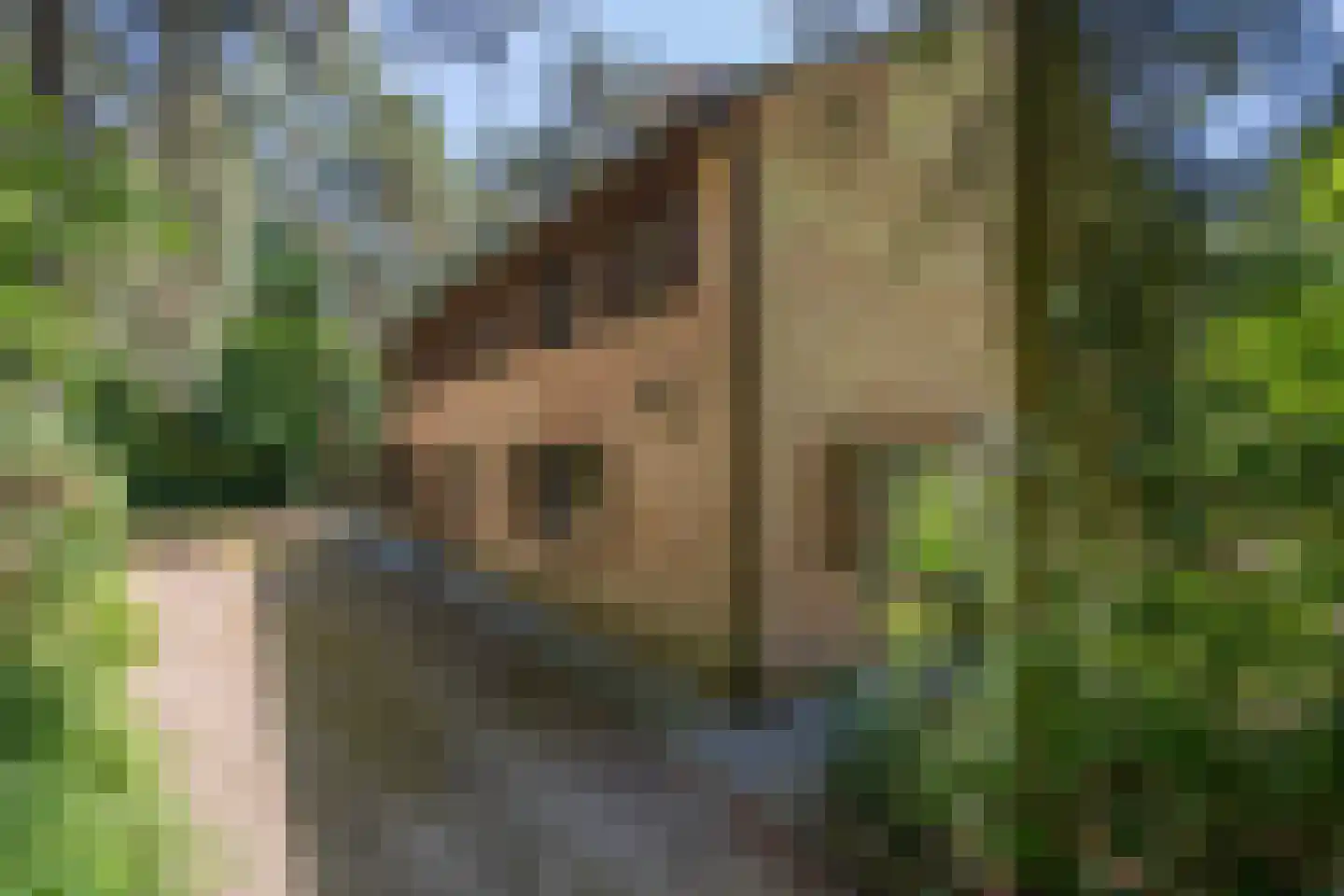 Kapelweg 5 Bergeijk thumbnail 68