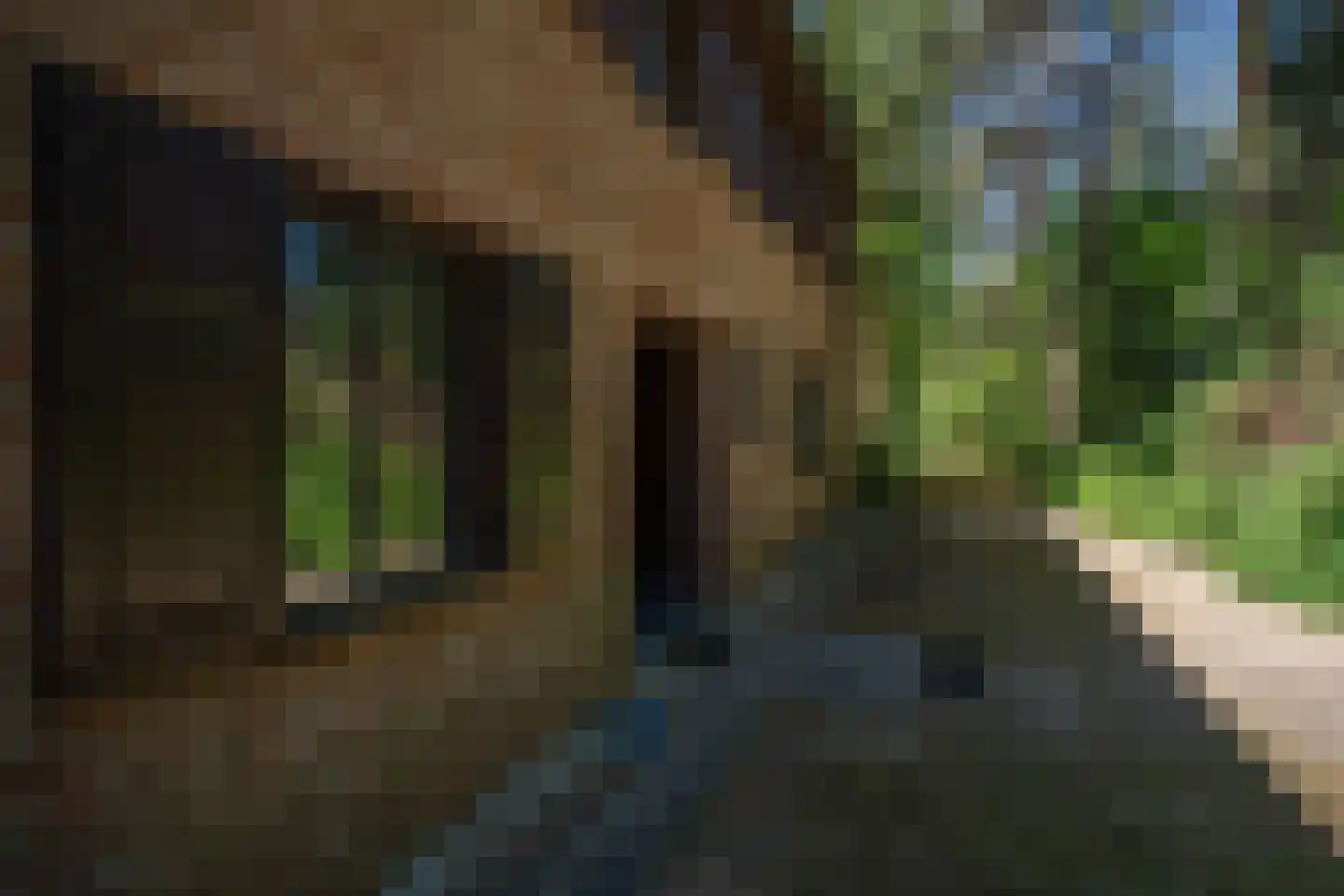 Kapelweg 5 Bergeijk thumbnail 69