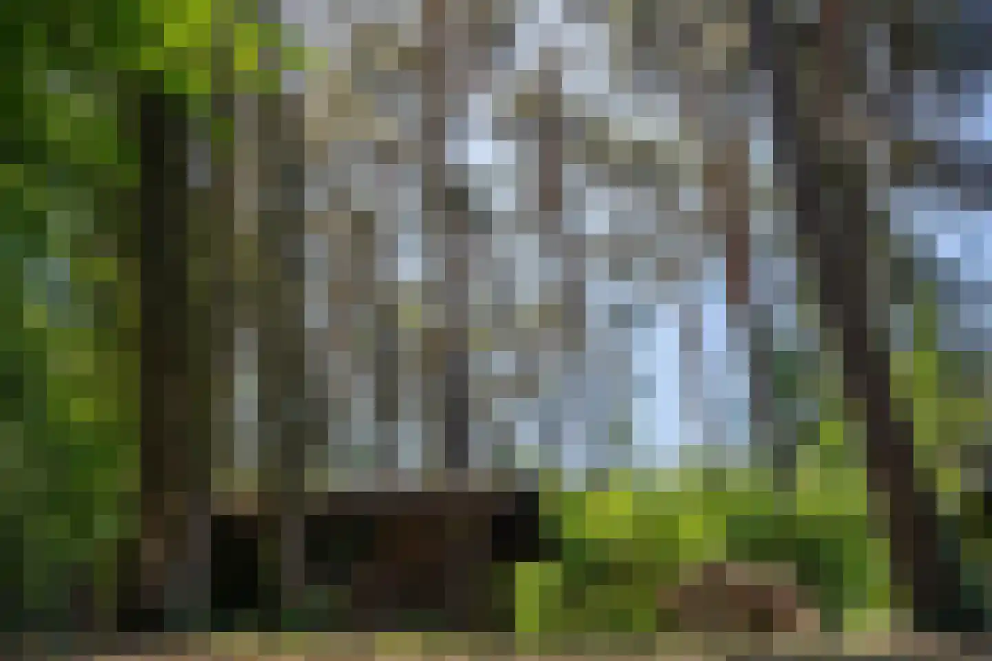 Kapelweg 5 Bergeijk thumbnail 70