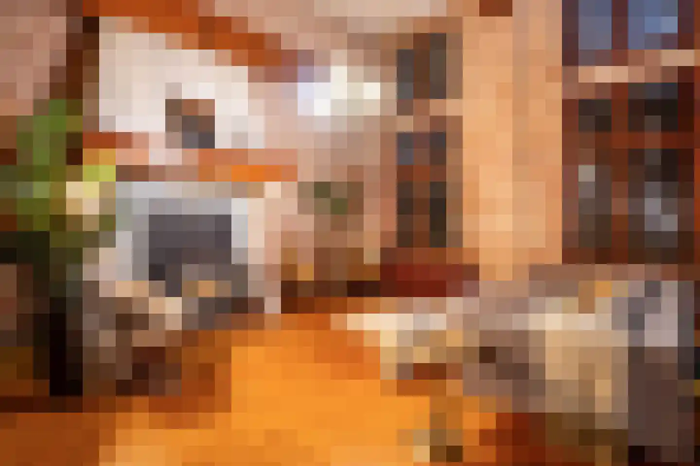 Kapelweg 5 Bergeijk thumbnail 73