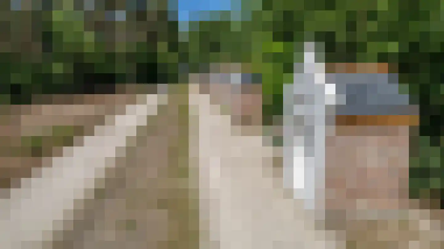 Kapelweg 5 Bergeijk thumbnail 78