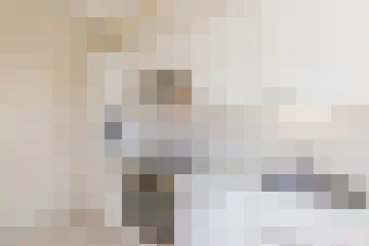 Kapelweg 5 Eersel thumbnail 16