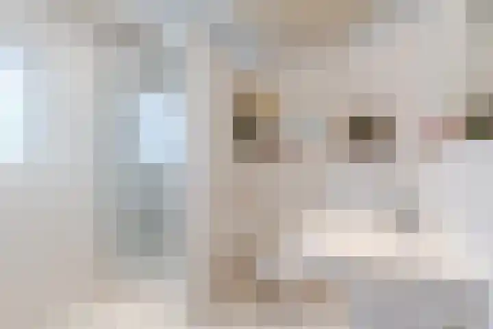 Kapelweg 5 Eersel thumbnail 27