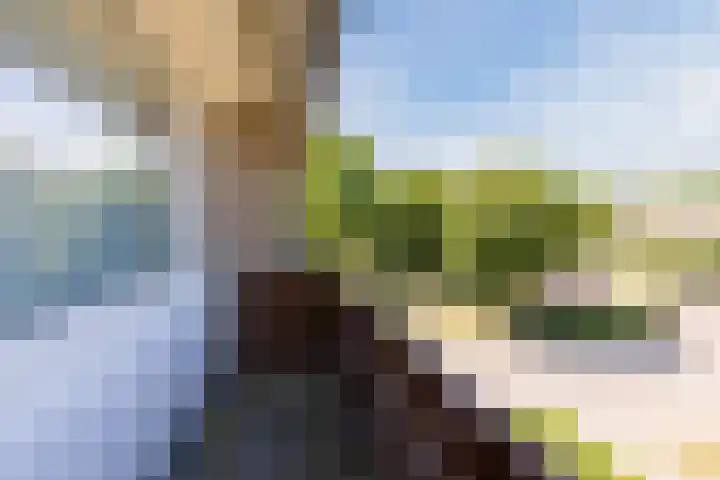 Kapelweg 5 Eersel thumbnail 34