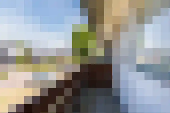 Kapelweg 5 Eersel thumbnail 35