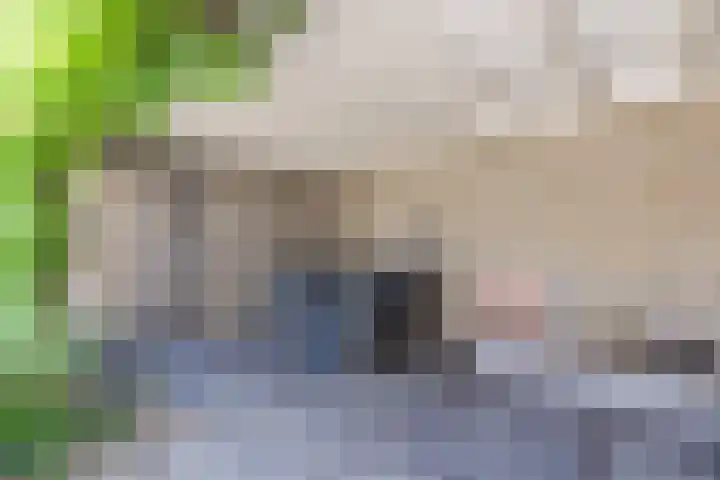 Kapelweg 5 Eersel thumbnail 37
