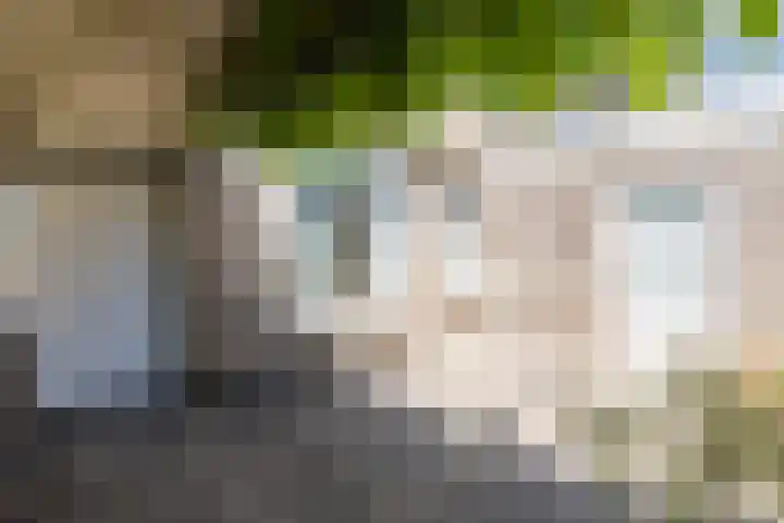 Kapelweg 5 Eersel thumbnail 38