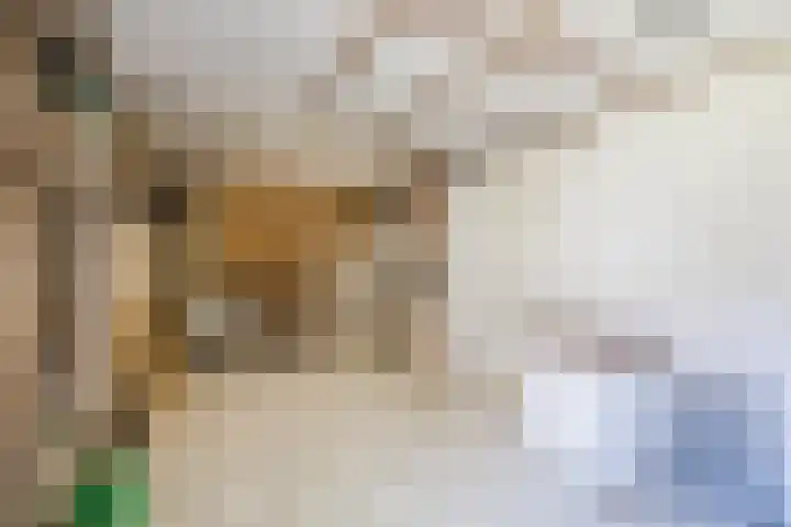 Kapelweg 5 Eersel thumbnail 39