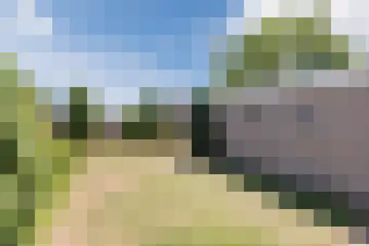 Kapelweg 5 Eersel thumbnail 42