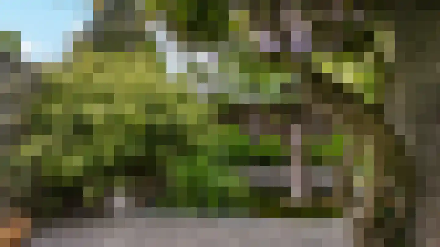Kapelweg 50 Kerkrade thumbnail 30