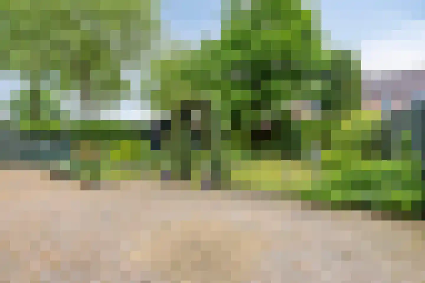 Kapelweg 52 Mierlo thumbnail 31