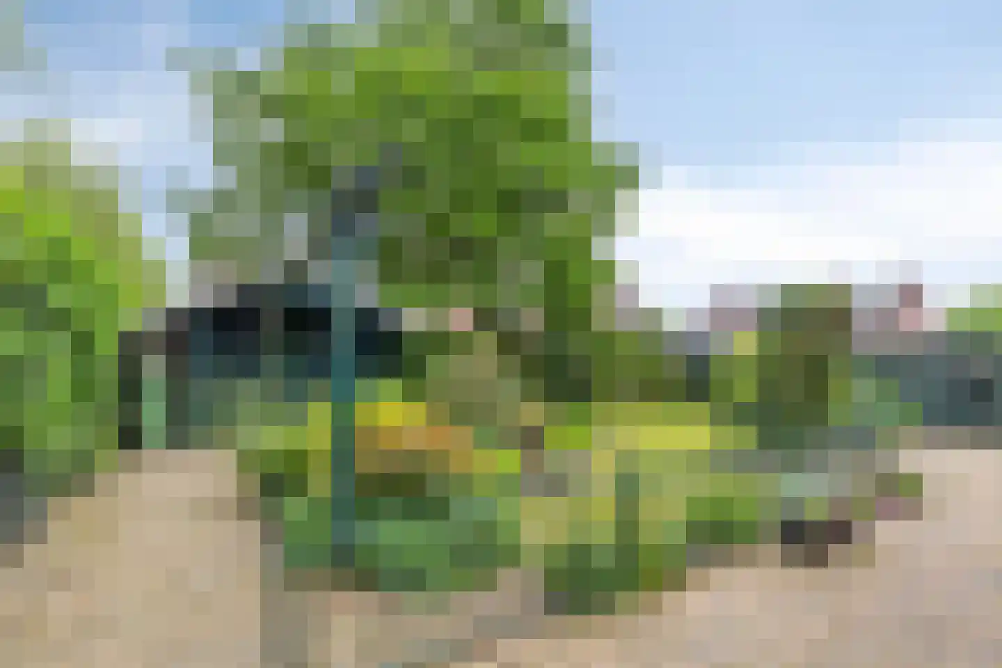 Kapelweg 52 Mierlo thumbnail 32