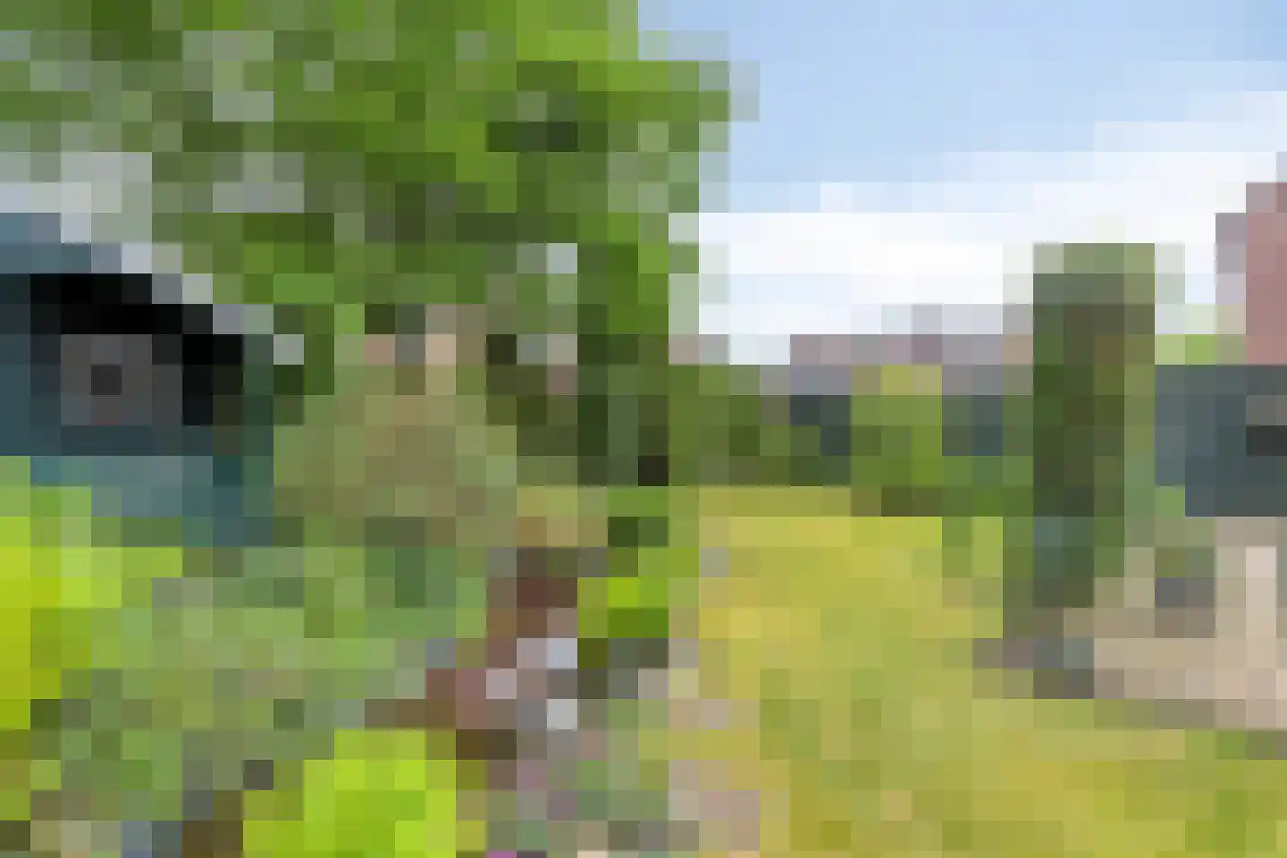 Kapelweg 52 Mierlo thumbnail 34