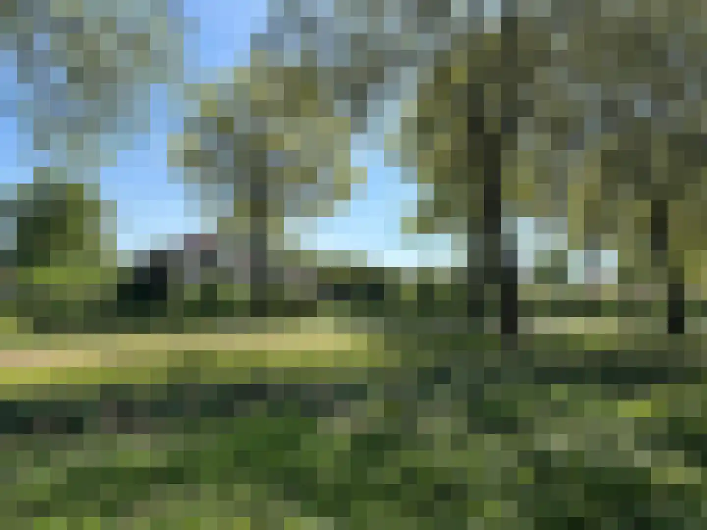 Kapelweg 52 Mierlo thumbnail 36