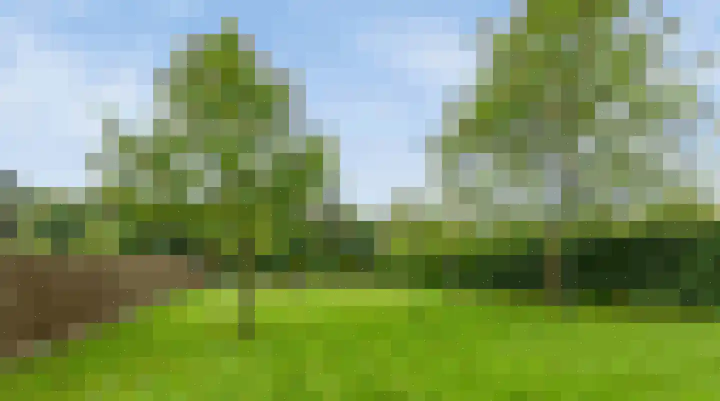 Kapelweg 61 Bergeijk thumbnail 24